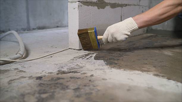 SJ Waterproofing Pros Waterproofing coverage map for Troy, MI and surrounding area